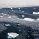 ANTARCTICA FOTO DARIO FERRO COPYRIGHT MIKE HORN (25)